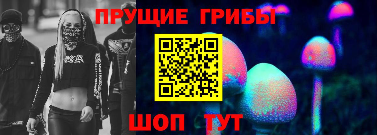 Псилоцибиновые грибы мицелий Лосино-Петровский